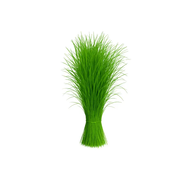 Durva Grass