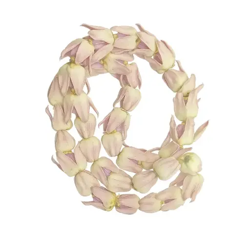 akando mala