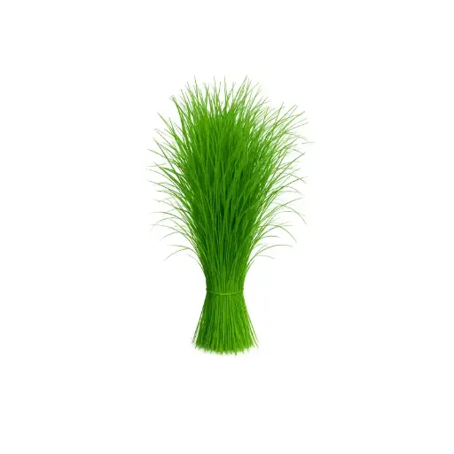 Durva Grass